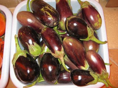 IMG_3043_800x600.jpg (88.34 KiB) Osservato 700 volte IMG_3043_800x600.jpg