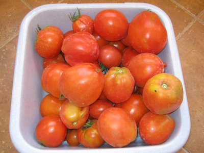 IMG_3044_800x600.jpg (69.89 KiB) Osservato 700 volte IMG_3044_800x600.jpg