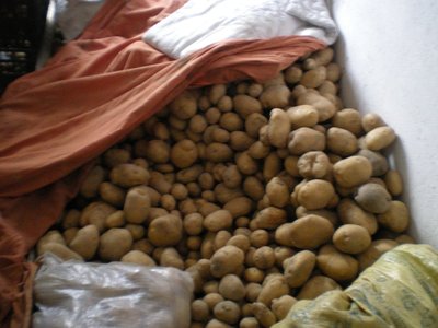 Patate.JPG (167.96 KiB) Osservato 915 volte Patate.JPG