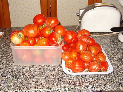 IM000566.JPG (72.99 KiB) Osservato 792 volte IM000566.JPG