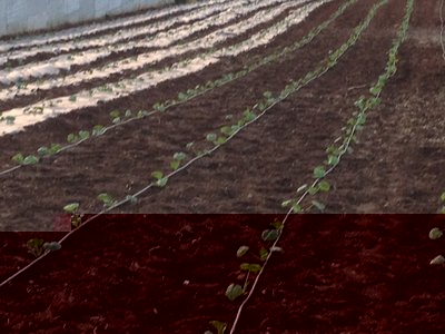 image.jpeg (137 KiB) Osservato 730 volte image.jpeg