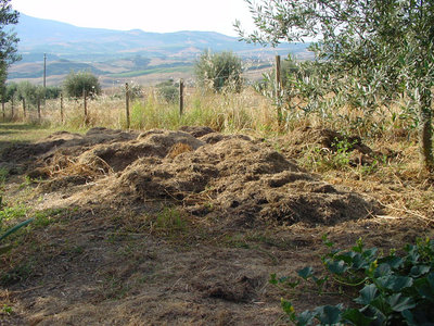 Campo-1.jpg (211.2 KiB) Osservato 760 volte Campo-1.jpg