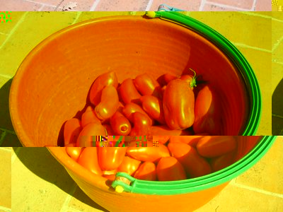 Pomodoro-2.jpg (76.88 KiB) Osservato 829 volte Pomodoro-2.jpg