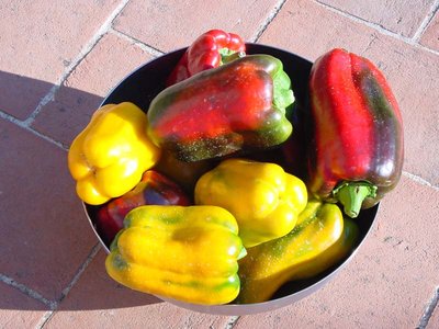 Peperone-1.jpg (106.68 KiB) Osservato 642 volte Peperone-1.jpg