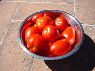 Pomodoro-1.jpg (144.39 KiB) Osservato 781 volte Pomodoro-1.jpg