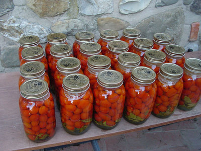 Datterini-1.jpg (164.73 KiB) Osservato 626 volte Datterini-1.jpg