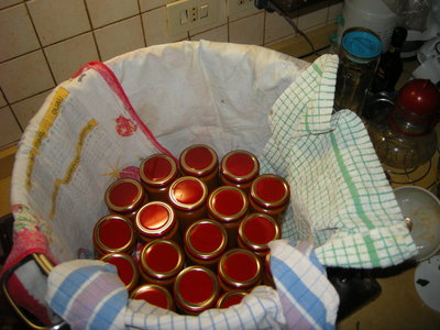 DSCN8634.JPG (250.14 KiB) Osservato 1172 volte DSCN8634.JPG