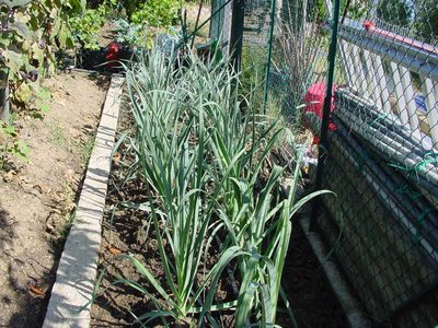 Porro-1.jpg (179.46 KiB) Osservato 757 volte Porro-1.jpg