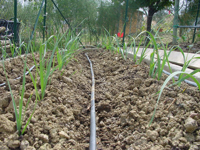 Porro-3.jpg (248.79 KiB) Osservato 757 volte Porro-3.jpg