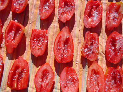 Pomodoro-3.jpg (206.59 KiB) Osservato 851 volte Pomodoro-3.jpg