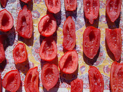 Pomodoro-4.jpg (206.31 KiB) Osservato 851 volte Pomodoro-4.jpg