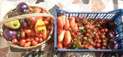 12092013.jpg (335.83 KiB) Osservato 920 volte 12092013.jpg