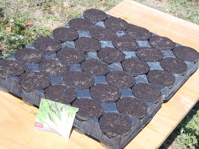 Coste-1.jpg (138.25 KiB) Osservato 757 volte Coste-1.jpg