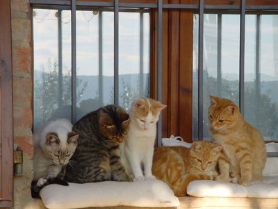 Fratelli-1.jpg (107.81 KiB) Osservato 857 volte Fratelli-1.jpg