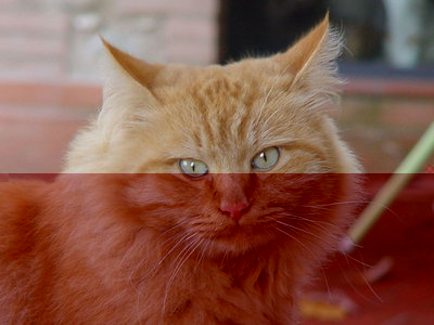 Trevi-1.jpg (91.06 KiB) Osservato 857 volte Trevi-1.jpg