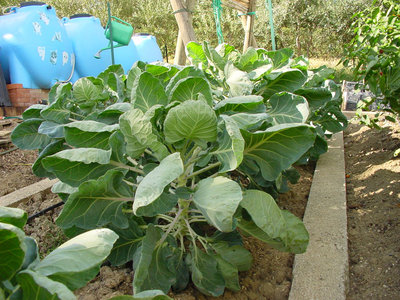 Bruxelles-1.jpg (206.17 KiB) Osservato 858 volte Bruxelles-1.jpg