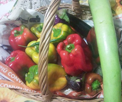 14092013.jpg (323.58 KiB) Osservato 1507 volte 14092013.jpg