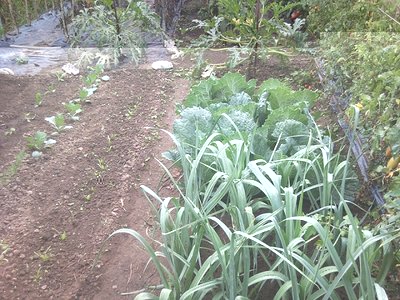 15092013008.jpg (395.28 KiB) Osservato 1467 volte 15092013008.jpg