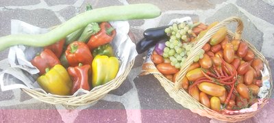 Pomodori, peperoni, melanzane, peperoncino, zucchine varie, uva... / 21092013001.jpg 21092013001.jpg