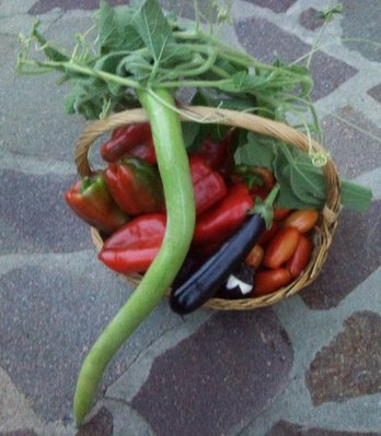 03102013001.jpg (250.45 KiB) Osservato 1318 volte 03102013001.jpg