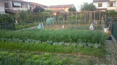 2013-06-13-0133.jpg (133.25 KiB) Osservato 795 volte 2013-06-13-0133.jpg