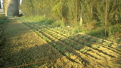 2013-09-24-0191.jpg (205.47 KiB) Osservato 795 volte 2013-09-24-0191.jpg