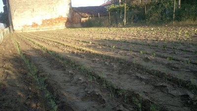 2013-08-30-0176.jpg (140.96 KiB) Osservato 795 volte 2013-08-30-0176.jpg