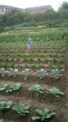 2013-08-25-0159.jpg (79.51 KiB) Osservato 738 volte 2013-08-25-0159.jpg