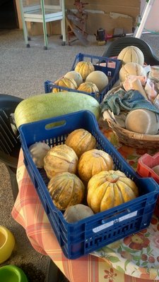 2013-08-10-0155.jpg (83.56 KiB) Osservato 738 volte 2013-08-10-0155.jpg