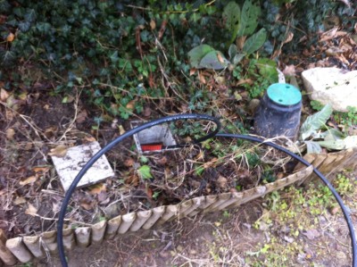 Il punto di arrivo nell'orto / 8_2014.jpg 8_2014.jpg