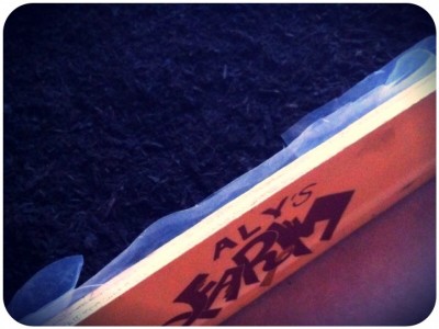 misticanza in cassetta / image.jpg image.jpg