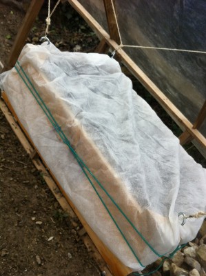 Cassetta e coperte / 16_2014.jpg 16_2014.jpg