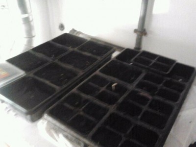 f.jpg (36.9 KiB) Osservato 928 volte f.jpg