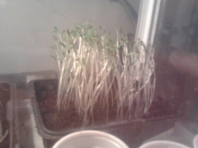 b.jpg (41 KiB) Osservato 928 volte b.jpg