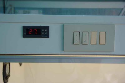 Semenzaio4.jpg Semenzaio4.jpg