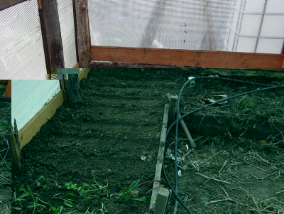 4DSCN8001.JPG (164.06 KiB) Osservato 1040 volte 4DSCN8001.JPG