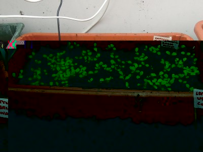 DSCN8049.JPG (131.97 KiB) Osservato 999 volte DSCN8049.JPG