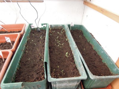 DSCN8051.JPG (114.66 KiB) Osservato 999 volte DSCN8051.JPG