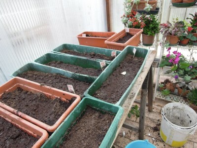 DSCN8056.JPG (140.64 KiB) Osservato 999 volte DSCN8056.JPG