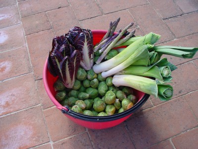 Raccolto-1.jpg (153.02 KiB) Osservato 755 volte Raccolto-1.jpg