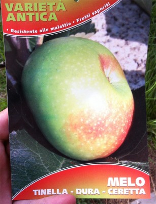 Il nuovo melo / 24_2014.jpg 24_2014.jpg