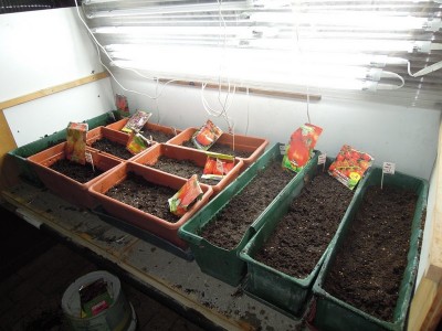 DSCN8017.JPG (106.14 KiB) Osservato 1273 volte DSCN8017.JPG