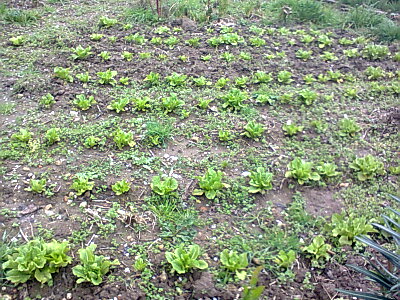 foto0591.jpg foto0591.jpg