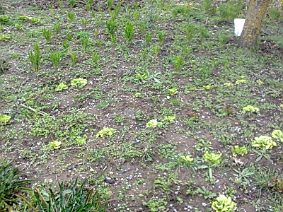 foto0592.jpg foto0592.jpg