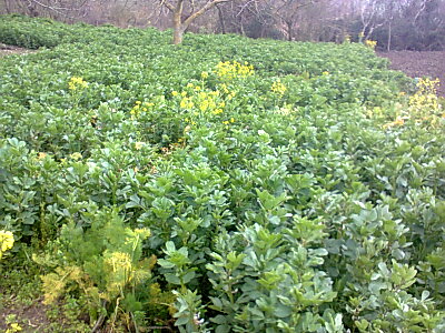 foto0596.jpg foto0596.jpg