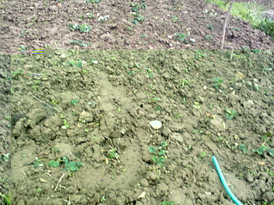 foto0589.jpg foto0589.jpg