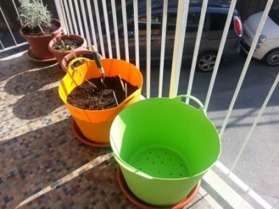 2014-03-09 09.47.30.jpg (32.99 KiB) Osservato 1011 volte 2014-03-09 09.47.30.jpg