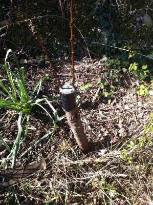 948.jpg (379.75 KiB) Osservato 1197 volte 948.jpg