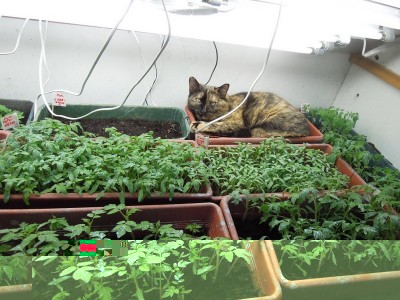 DSCN8245.JPG (132.56 KiB) Osservato 886 volte DSCN8245.JPG