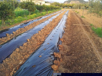 giovedi_2.jpg (315.77 KiB) Osservato 978 volte giovedi_2.jpg